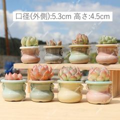 Item thumbnail for item 1cf497fb-d5f5-4642-baff-886bfa001595