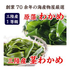 わかめ 三陸産 一等 生わかめ 170g 茎わかめ 250g ヘルシー海藻セット