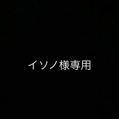 イソノ様専用