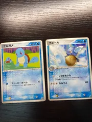 ゼニガメ　カメール　2枚セット