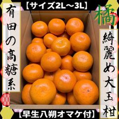 高糖系　有田みかん　大玉　八朔おまけ付き♪