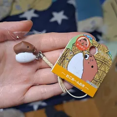 ご当地限定 カピバラさん チャームストラップ 未開封品 ご当地限定 カピバラさん チャームストラップ 未開封品 ご当地限定