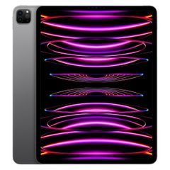 iPad Pro 12.9インチ（第5世代）M1チップ Wi-Fiモデル - メルカリ