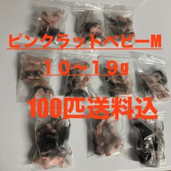 ピンクラットベビーＭ　10〜19g100匹送料込