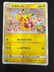 ピカチュウ　224/SM-P PROMO プロモ ピカチュウ: プロモ[SM-P 224](プロモーションカード「SM-P」)の