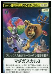 DVD 首領の道 全15巻 + Season2 全2巻 計17本set ※ケース無し