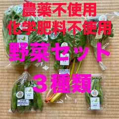 濃甘！野菜セット3種類 農薬・化学肥料不使用♪個包装のサムネイル