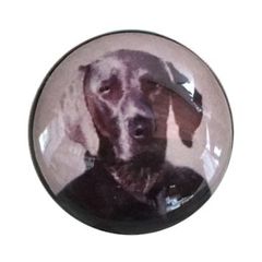 ドイツデザイン シャンクボタン ワイマラナー B-1089 犬　ドッグ ビズラ いぬ