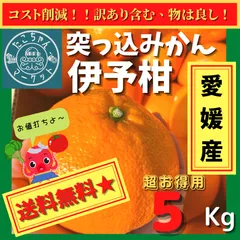 【専用出品】いよかん 2025年最新】伊予柑 訳ありの人気アイテム - メルカリ
