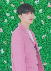 SEVENTEEN 2019 HARU S.COUPS トレーディングカード 9