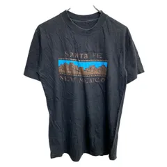 半袖 プリント Tシャツ Mサイズくらい ブラック シングルステッチ 古着卸 アメリカ仕入 t2503-3258