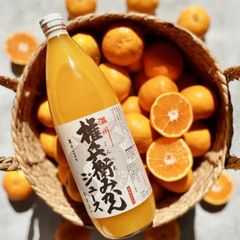 【愛媛県川上産】権兵衛みかんジュース 1000ml×6本