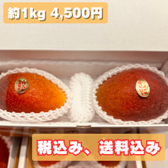 玉文＋アーウィン 2玉約1kg