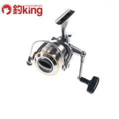 ダイワ(Daiwa) カルディアKIXカスタム 4000 00055423｜アウトドア用品・釣り具通販はナチュラム
