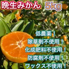 和歌山県産　下津　みかん　低農薬　晩生　5kg
