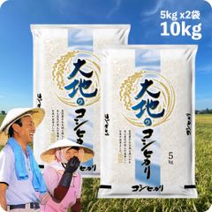 米 大地のコシヒカリ10kg  お米 生活応援価格 白米