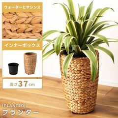 プランター 植木鉢 5号用 単品 おしゃれ ナチュラル グリーンポット 鉢植え 室内 ガーデニング ベランダ ガーデン インテリア 観葉植物 アジアン リゾート 北欧