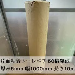 2025年最新】東レペフシートの人気アイテム - メルカリ