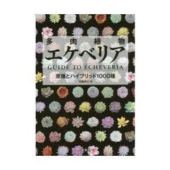 送料込）蜂からみた花の世界 四季の蜜源植物とミツバチからの贈り物