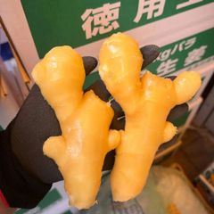 [6月5日木曜日に入荷予定、入荷次第出荷]　生鮮 中国産生姜　特選　１箱５kg
