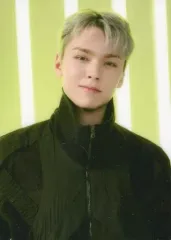 【中古】コレクションカード(男性) 51：SEVENTEEN/VERNON(バーノン)/「SEVENTEEN TOUR ’FOLLOW’ TO JAPAN」フォトカード