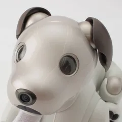2025年最新】aiBo sonyの人気アイテム - メルカリ 