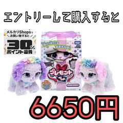 プレゼントペット レインボーフェアリー
