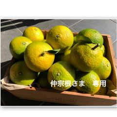 農家直送】スイートスプリング 5kg＊美品サイズ混合 - メルカリ