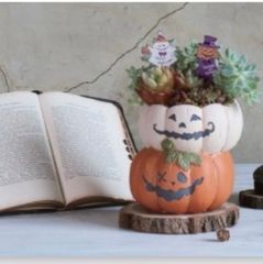 ジャックオーランタンポットL  かわいい植木鉢　ハロウィン植木鉢　ハロウィン雑貨　ハロウィンカボチャ　ジャックオーランタン　インテリア　雑貨　花　寄せ植え　多肉植物　観葉植物　かわいい