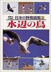 2025年最新】日本の野鳥の人気アイテム - メルカリ