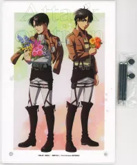 【中古】アクリルスタンド・アクリルパネル エレン・イェーガー＆リヴァイ・アッカーマン(大人) アクリルパネル past and future ver. 「進撃の巨人」 アニメイト限定