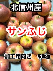 長野県産　りんご　サンふじ　加工用向き　5kgのサムネイル