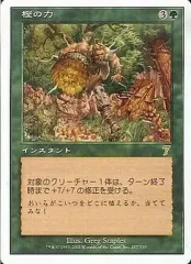 2025年最新】樫の力の人気アイテム - メルカリ