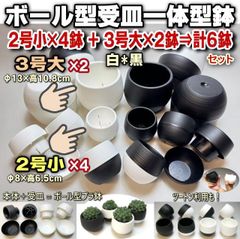 ボール型受皿付プラ鉢＊2号小×4鉢＋3号大2鉢⇒計6鉢セット(陶器風の上品な質感)で白・黒・混合＊セントポーリア・エアプランツ・多肉植物・塊根植物コーデックス・アガベ・サボテン・盆栽・観葉・ハオルチア・アデニウム・パキポディウム・実生＠フラワーショップ江口