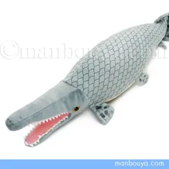 2026年最新】アリゲーターガーの人気アイテム - メルカリ