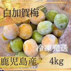 断捨離ママ　完熟梅　白加賀　10kg 断捨離ママ様専用 完熟梅 白加賀 10kg - メルカリ