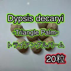 2024年最新】decaryiの人気アイテム - メルカリ