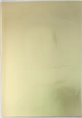 Kis-My-Ft2 TAKE FIVE2 藤ヶ谷太輔 パンフレット