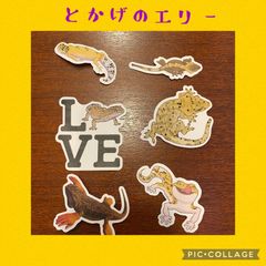 爬虫類ステッカー