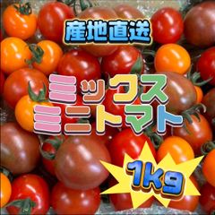 新鮮野菜 ミニトマト ミックス 1kg