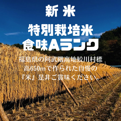 特別栽培米　天日干し　チヨニシキ　天のつぶ　5キロ　玄米