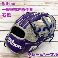 フアンソトモデル ウィルソン 野球 硬式 軟式可A2K Wilson 右投外野