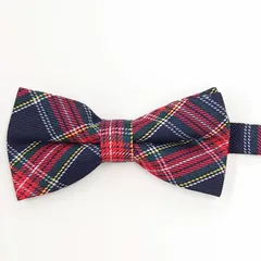 蝶ネクタイ　ミックスカラー　タータンチェック　新郎新婦　結婚式