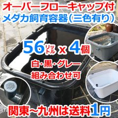 メダカ 飼育ケース 56㍑x3個 白黒灰選択可 オーバーフロー加工済 金魚 Amazon | 五色アクア メダカ飼育ケース 40リットル 黒