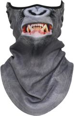 Item thumbnail for item ac17b1cd-2ba1-4ec9-8085-d3a02d67b654