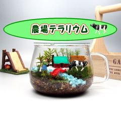 農場【苔テラリウム・手作りキット一式】ティーカップ