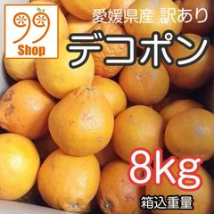 愛媛県産 デコポン 8kg 2199円 訳あり家庭用 柑橘