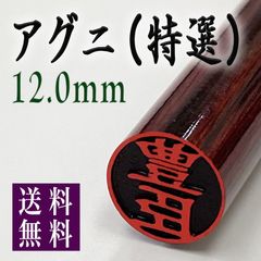 【アグニ12.0mm 高級ケース付】老舗店の本格印鑑　認印はんこ　スピード発送