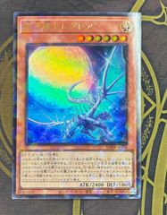 遊戯王　眩月龍セレグレア 25WP ウルトラパラレル