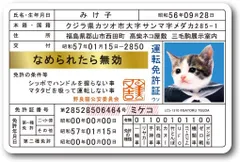 2024年最新】なめ猫 免許証 昭和の人気アイテム - メルカリ